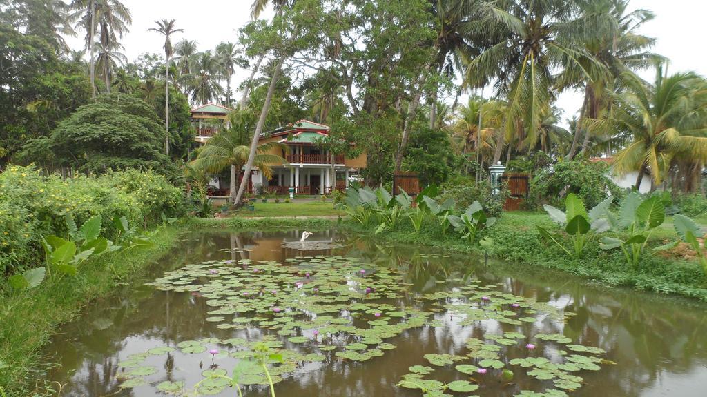 Hotel Birds View Тиссамахарама Экстерьер фото