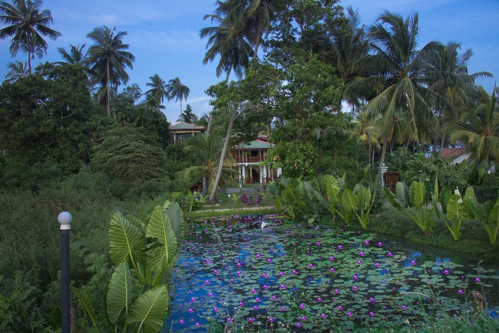 Hotel Birds View Тиссамахарама Экстерьер фото