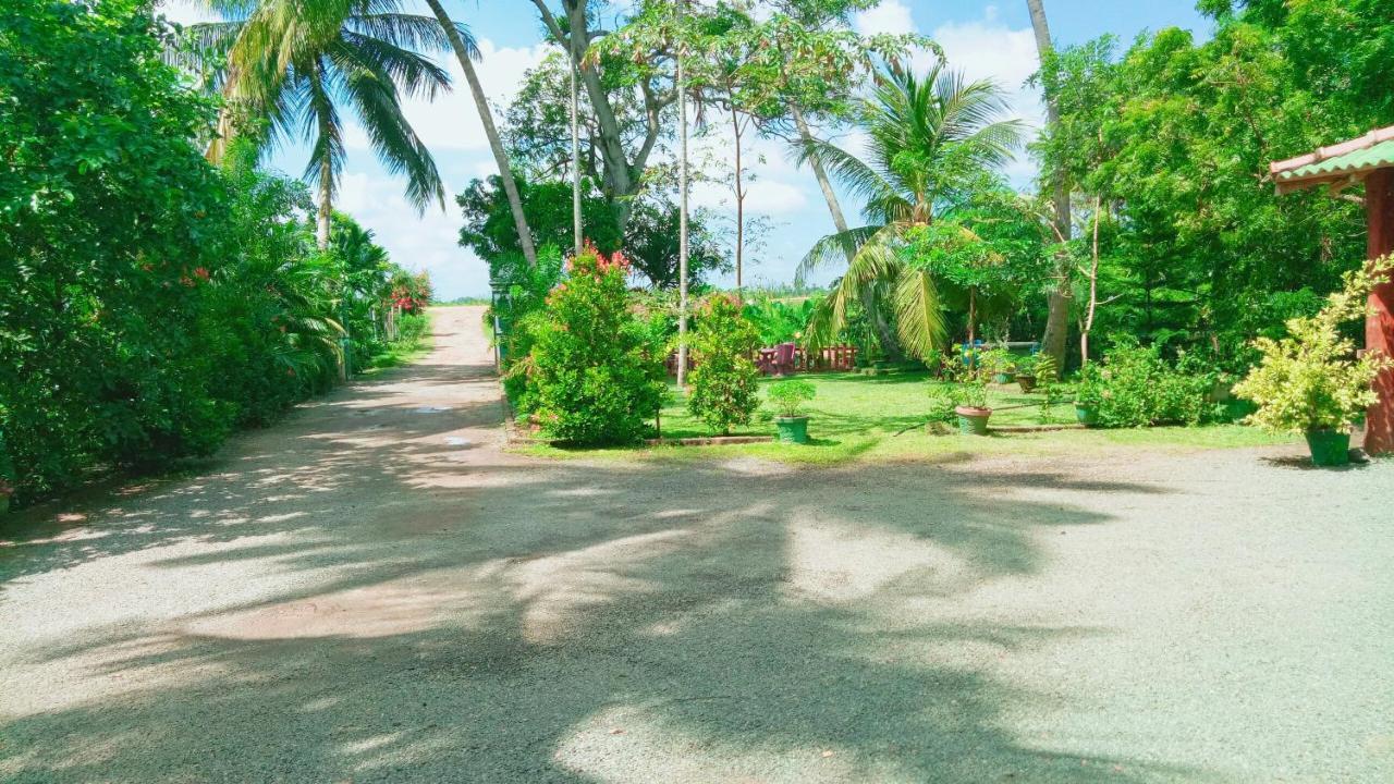 Hotel Birds View Тиссамахарама Экстерьер фото