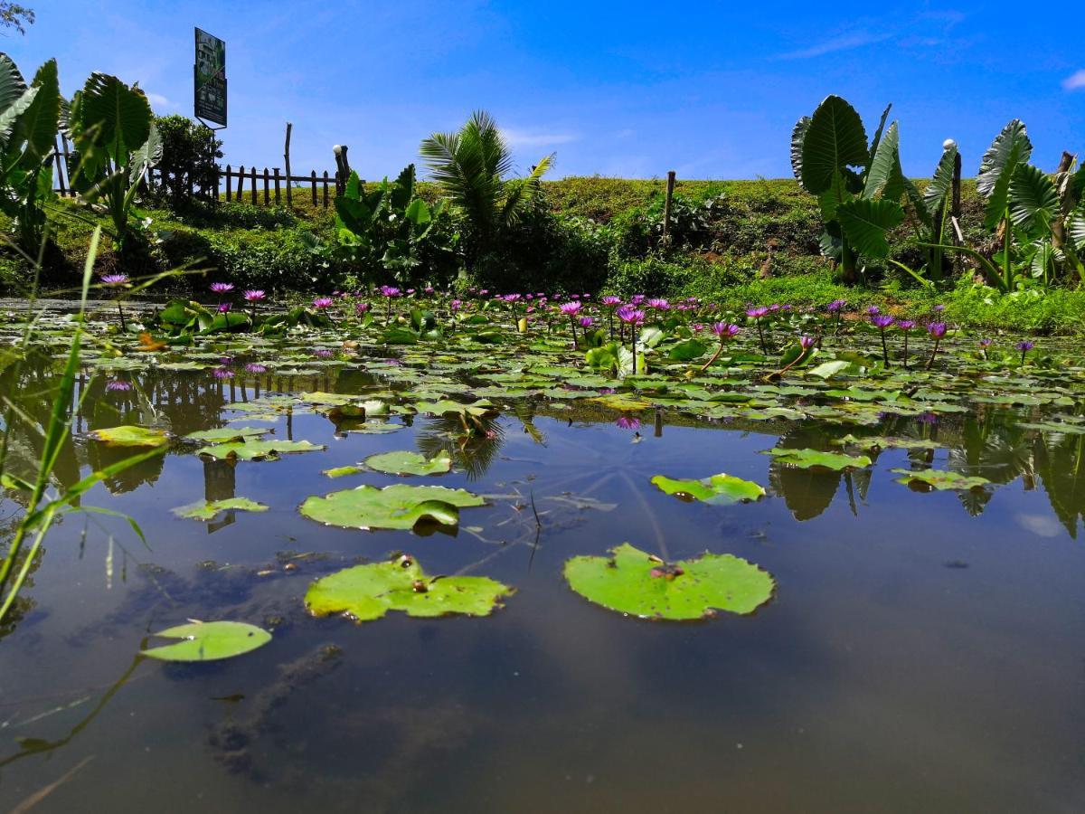 Hotel Birds View Тиссамахарама Экстерьер фото
